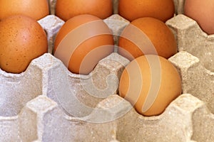 Poultry fresh brown eggs on paper tray. Fresh Eggs from Farm.