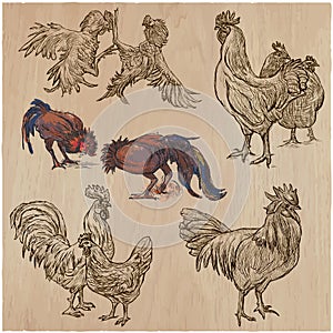 Poultry - An hand drawn vector pack. Freehand sketching.