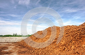 Poultry manure