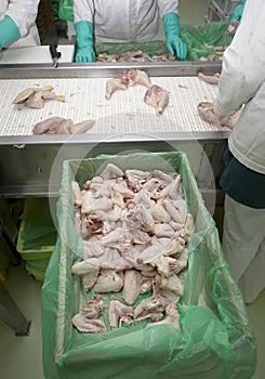 Poultry processing