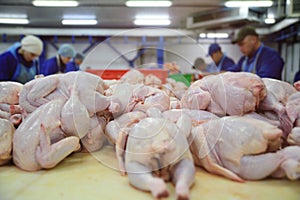 Poultry processing in food industry