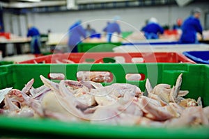 Poultry processing in food industry