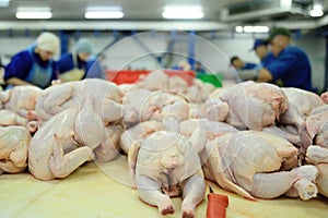 Poultry processing in food industry