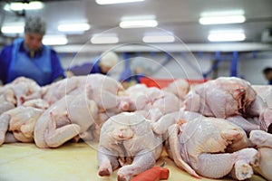 Poultry processing in food industry