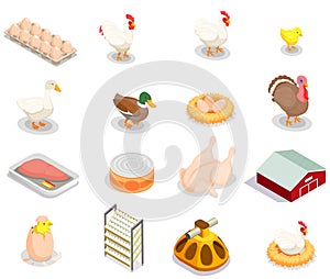 Poultry Production Isometric Set