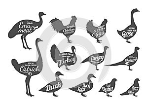 Poultry Silhouettes Collection, Butchery Labels Templates