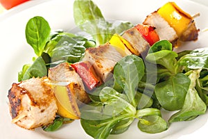 Poultry skewer with salad