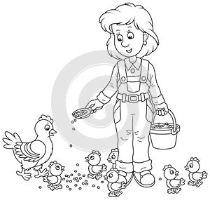 Poultry woman feeding chickens