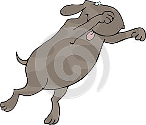 Pouncing dog