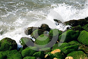 Pounding Surf photo