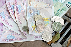 Pounds Down the Drain