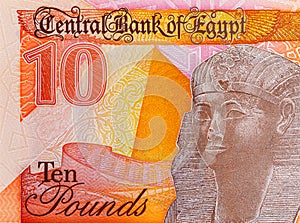 10 Pounds Egypt with the image of Pharaoh Ramses II and the pyramids. Polymer money of Egypt