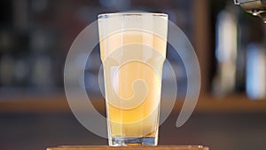 Pour beer into a transparent glass on the bar. Light, golden beer pours into a glass against the backdrop of a bar in a