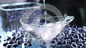 pour water into a glass dish for washing blueberries and bilberry blueberries scattered on the table