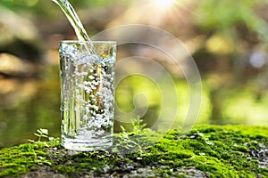 Pour water into glass on green grass in nature