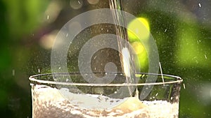 Poured Sparkling Wine Closeup