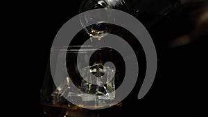 Pouring alcohol drink whiskey, cognac into glass. Black background. Slow motion