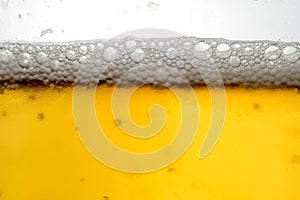 Pouring beer with bubble froth in glass for background