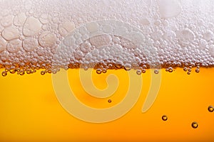 Pouring beer with bubble froth in glass for background