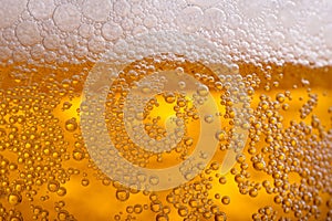 Pouring beer with bubble froth in glass for background