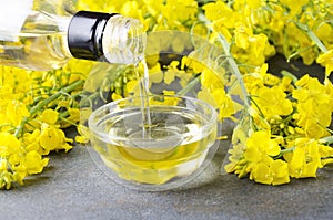 Pouring canola oil into the glass bowl against rapeseed blossoms on the grey surface, closeup shot