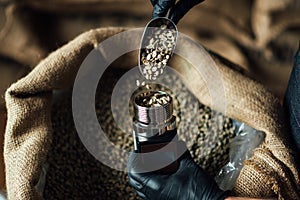 Pouring coffee beans into a moisture measuring device using a metal scoop on burlap bag background