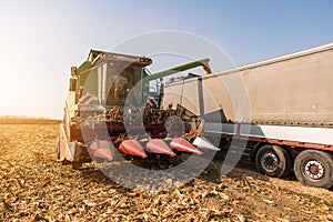 Pouring corn grain into tractor trailer after harvest