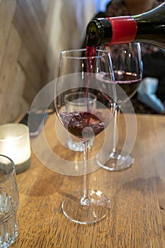 Pouring of dry Italian primitivo red wine in glass in Italian cantina restaurant in Puglia