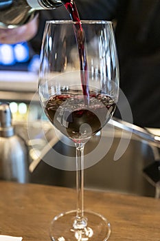 Pouring of dry Spanish tempranillo red wine in glass in Spanish bogeda restaurant photo