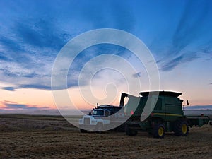 Pouring Grain