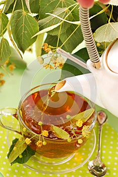 Pouring linden tea