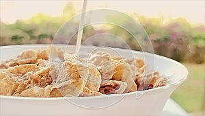 Pouring milk into bowl of cereals in slow motion effect, breakfast outdoors in summer