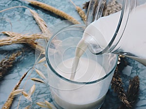 Pouring milk in the glass on blue background. Fresh milk pouring making a crown splash. Front view. Milk glass top view.