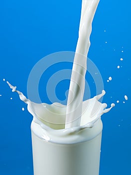 Pouring milk in a glass isolated