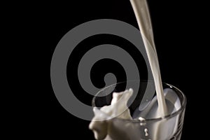 Pouring milk in a glass. splash of white liquid isolated on dark background