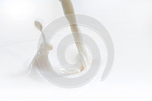 Pouring milk or liquid milk splash