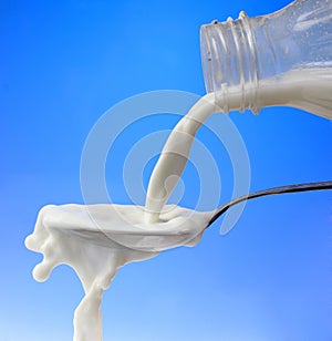 Pouring milk to the spoon