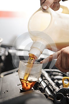 Pouring oil to car engine, close up