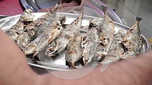 Pouring olive with herbs on grilled mackerels