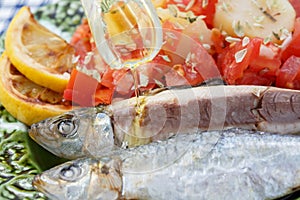 Pouring olive oil in very fresh sardines