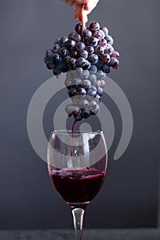 Pouring red wine into the glass from the grapes