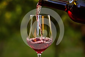 Pouring red wine into glass photo