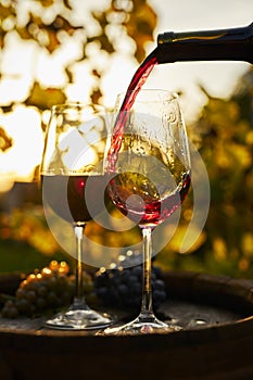 Pouring red wine into glasses standing on a wooden barrel