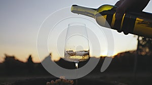 Pouring white wine from bottle into glass in the vineyard