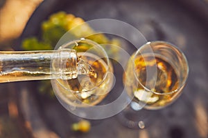 Pouring white wine into glasses
