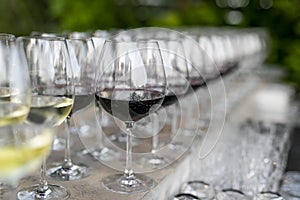 POURING WINE at bars resturant and weddings. also other social events