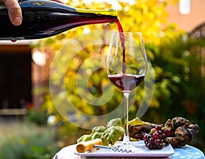 Pouring yound red beaujolais wine in glass during celebration of end of harvest and first sale release on third Thursday of