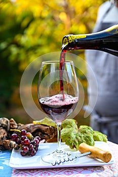 Pouring yound red beaujolais wine in glass during celebration of end of harvest and first sale release on third Thursday of