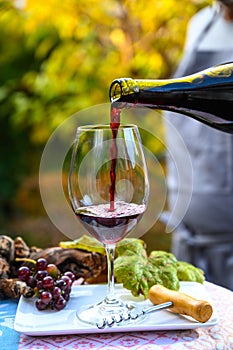 Pouring yound red beaujolais wine in glass during celebration of end of harvest and first sale release on third Thursday of