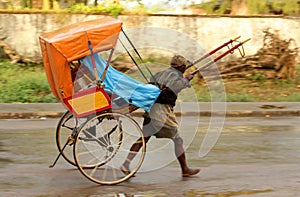 Pousse pousse in the rain